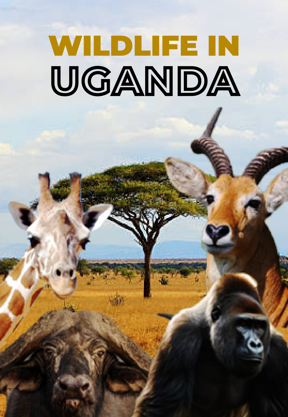 Wildlife in Uganda PART 1
